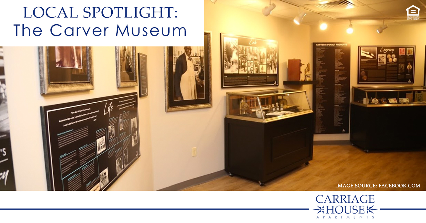 Local Spotlight: The Carver Museum