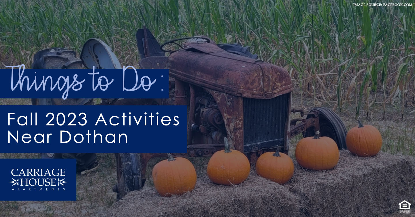 fall 2023 activities near Dothan