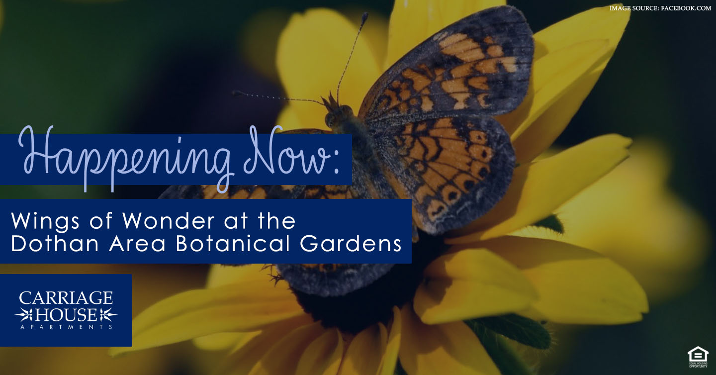 Wings of Wonder at the Dothan Area Botanical Gardens