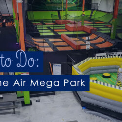visit Xtreme Air Mega Park